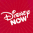 Disney NOW