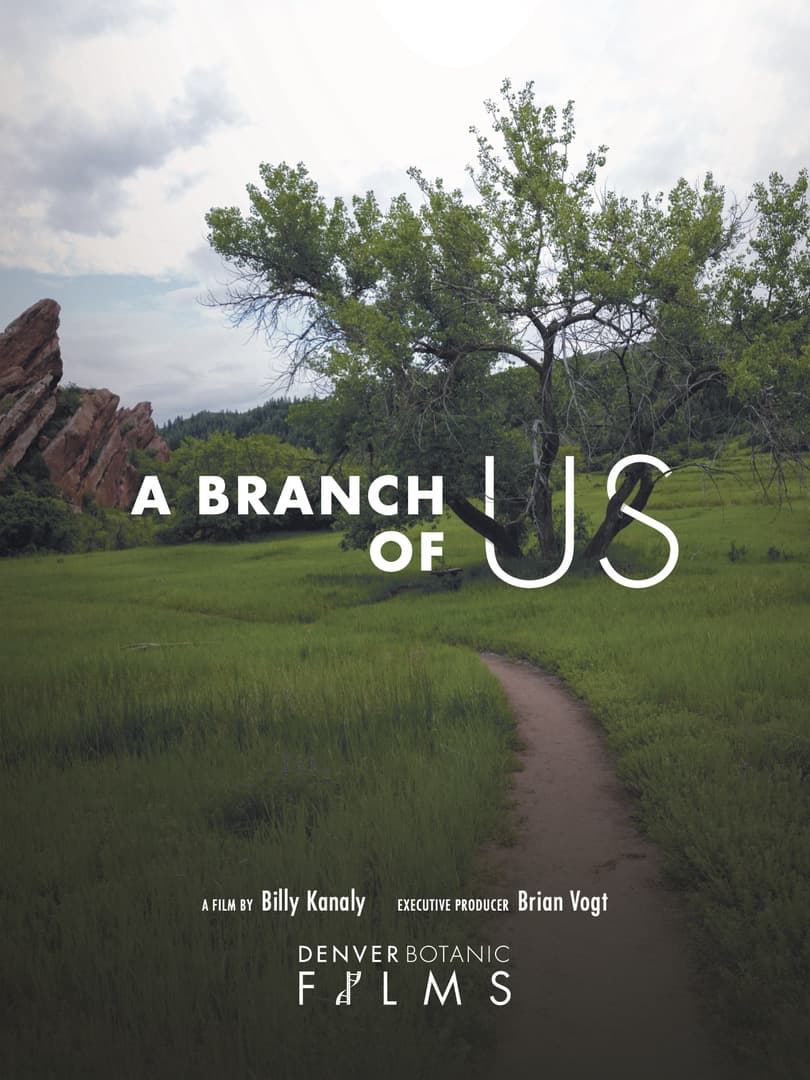 A Branch of Us
