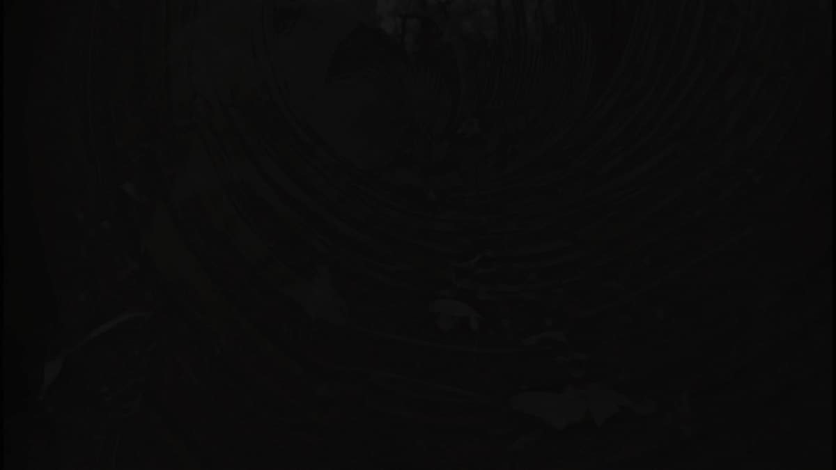 Don't Look in the Dark