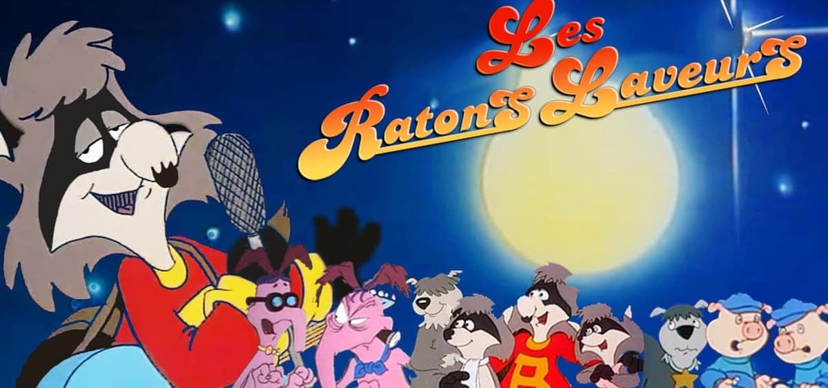 The Raccoons