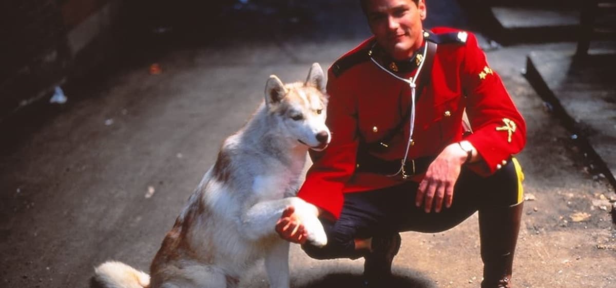 Due South
