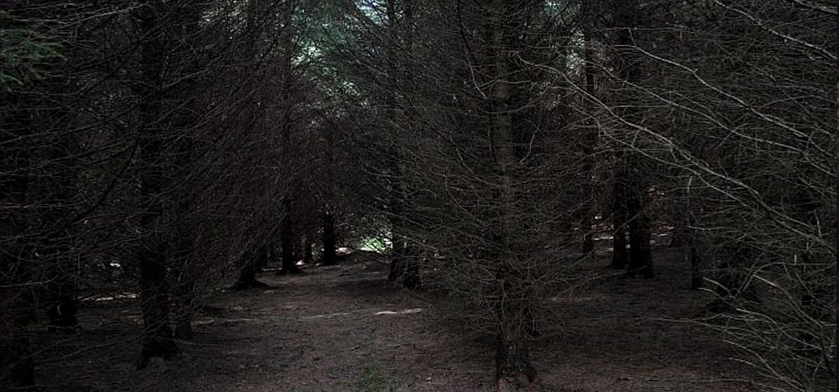 Dark Realm