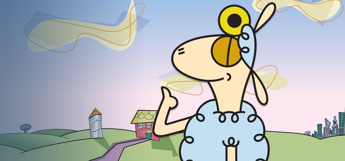 Sheep in the Big City