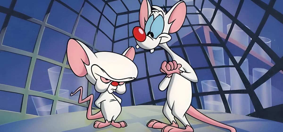 Pinky and the Brain