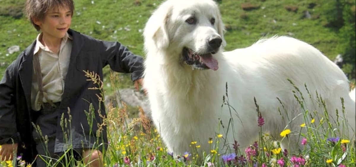 Belle et Sébastien