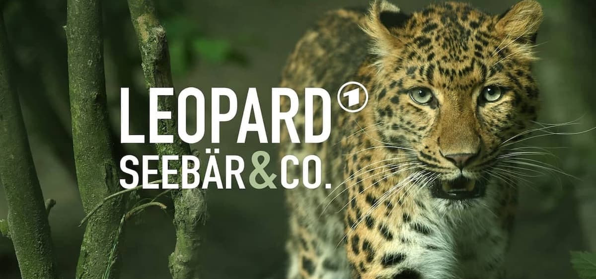 Leopard, Seebär & Co.