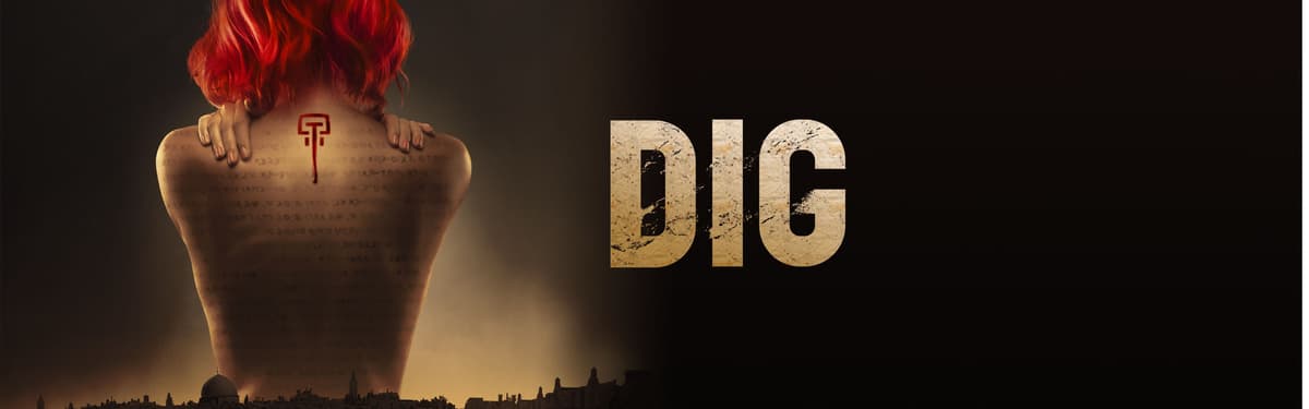 Dig