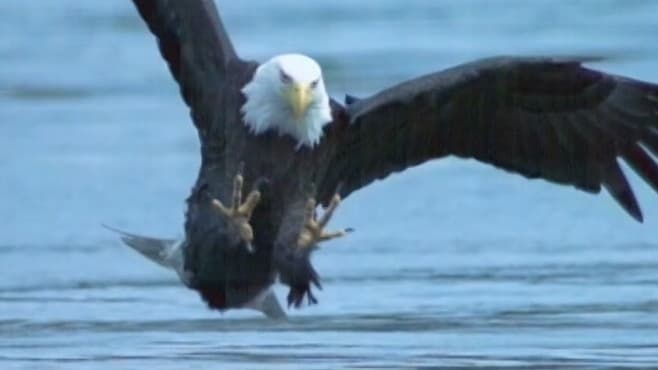 Nature's Great Events