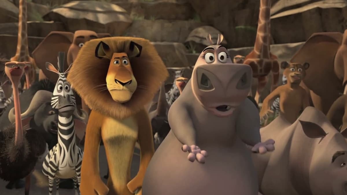 Madly Madagascar