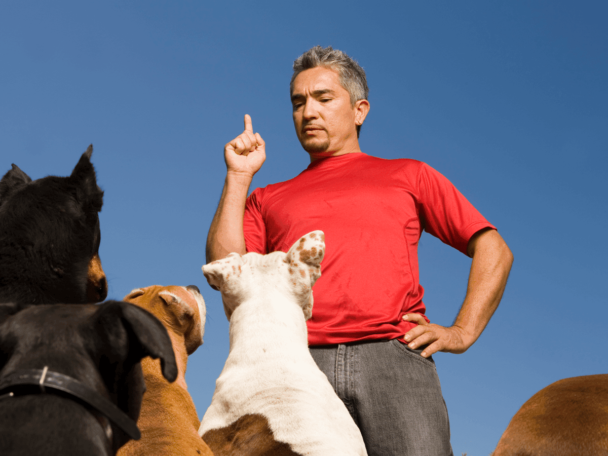 Dog Whisperer with Cesar Millan