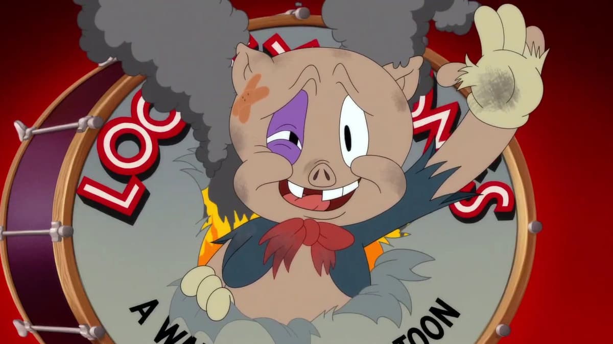 Looney Tunes Cartoons
