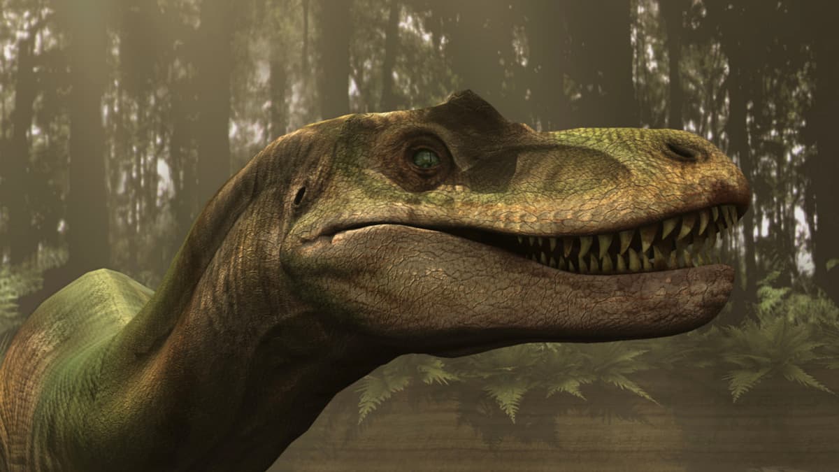 Jurassic Fight Club