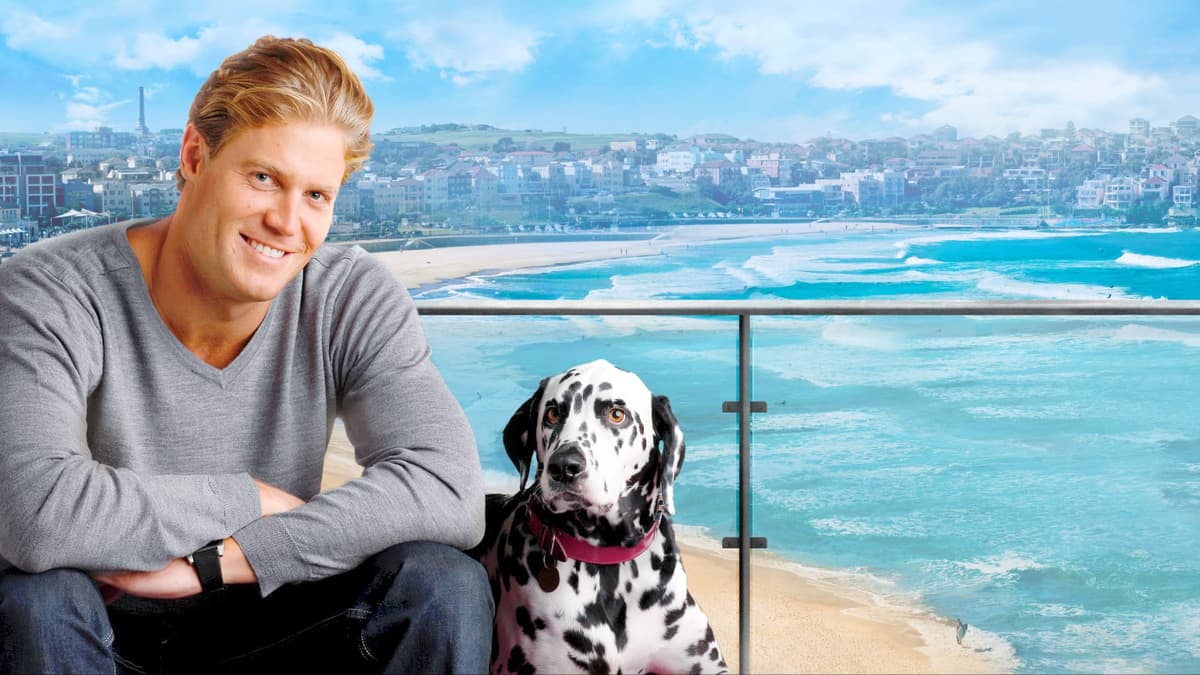 Bondi Vet