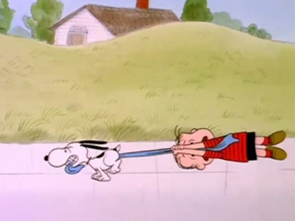 The Charlie Brown and Snoopy Show