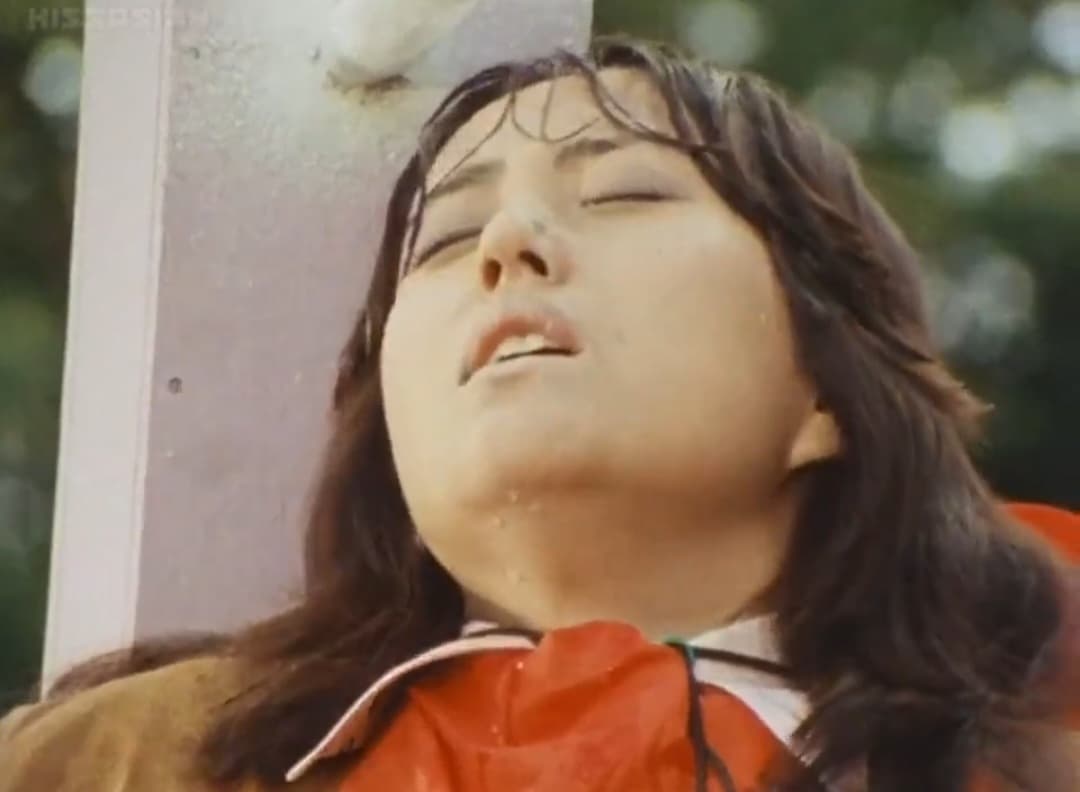 Denshi Sentai Denziman