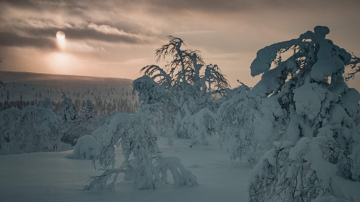 Arctic Circle