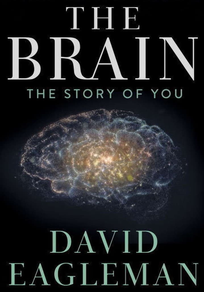 The Brain with Dr. David Eagleman