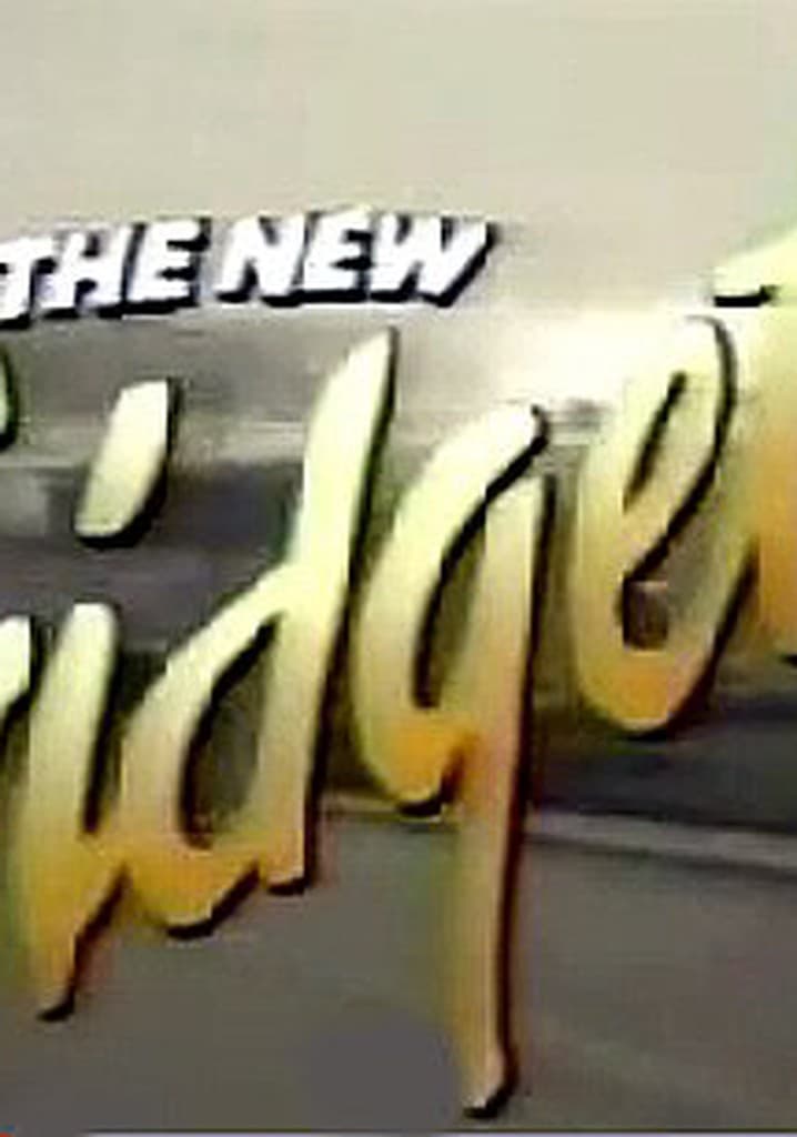 The New Gidget