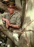 Donald Hewlett