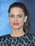 Amanda Peet