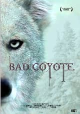 Bad Coyote