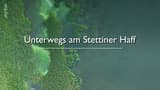 On the Road at Stettiner Haff