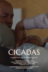 Cicadas