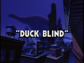 Duck Blind