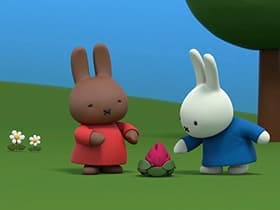 Miffy and the Dragon