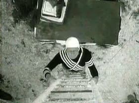 Daring Young Man