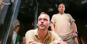 Die Verwandten der Elefanten