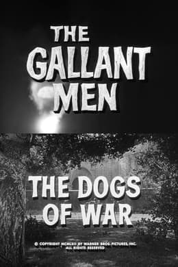 The Dogs of War