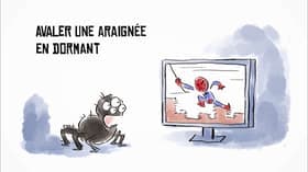 Avaler une araignée en dormant