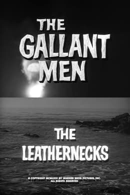 The Leathernecks