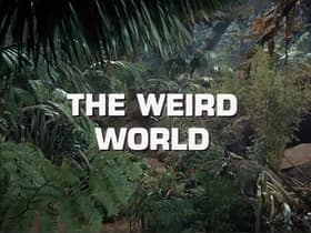 The Weird World