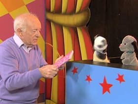 The Magic Show