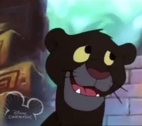 How the Panther Lost Its Roar/The Humans Must Be Crazy