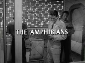 The Amphibians