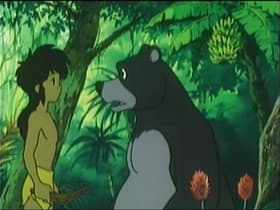 The Jungle Law