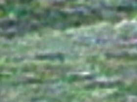 Sasquatch Sprint/Alien Attacker