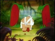Jungle Duck