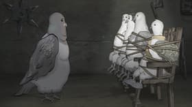 Pigeons