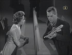 The Lady Takes the Stand