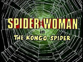 The Kongo Spider