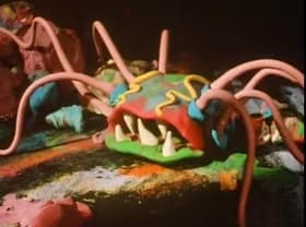 Don't Let the Bed Bugs Bite
