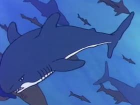The Shark Lover