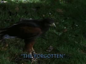 The Forgotten