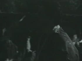 The Highlander