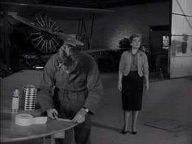 Fly Away Home: Part II