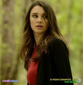 Hersey Sensin